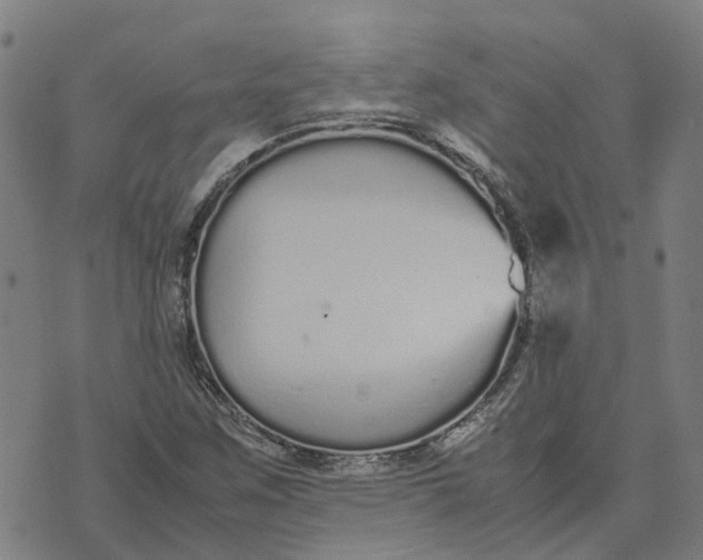 X0000070381259200606231703