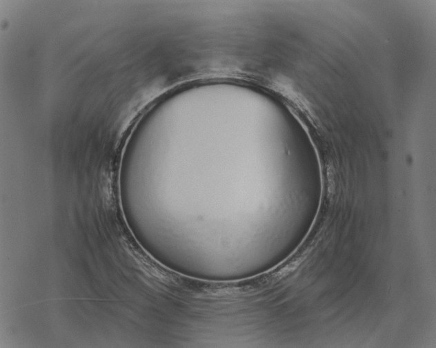 X0000070381260200606231703