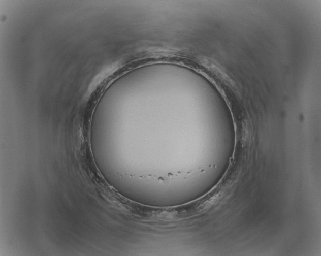 X0000070381261200606231703