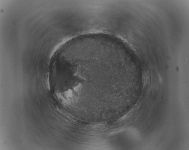 X0000070381262200606231703