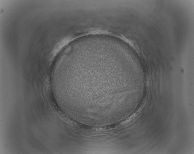 X0000070381263200606231703