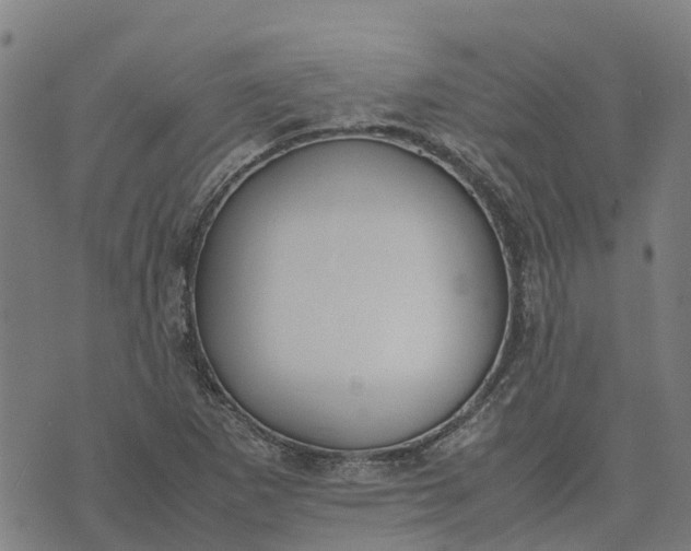 X0000070381265200606231703