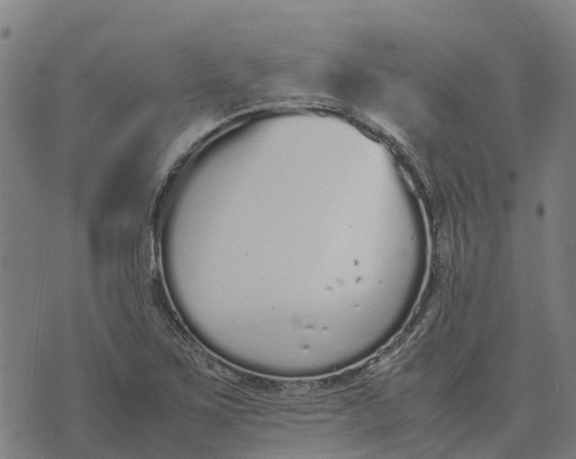 X0000070381267200606231703