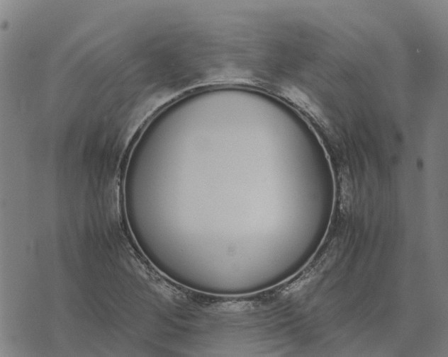 X0000070381268200606231703