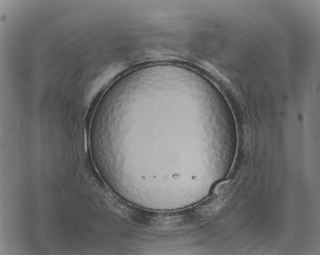 X0000070381269200606231703