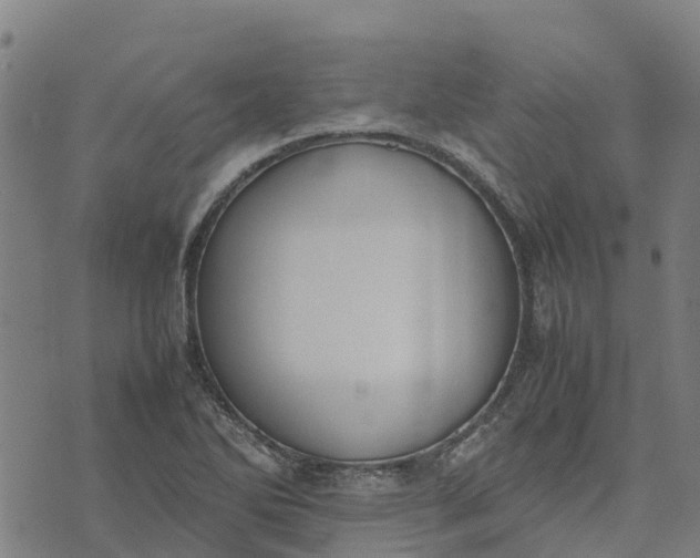 X0000070381270200606231703