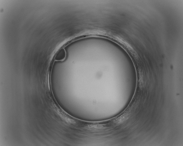 X0000070381272200606231703