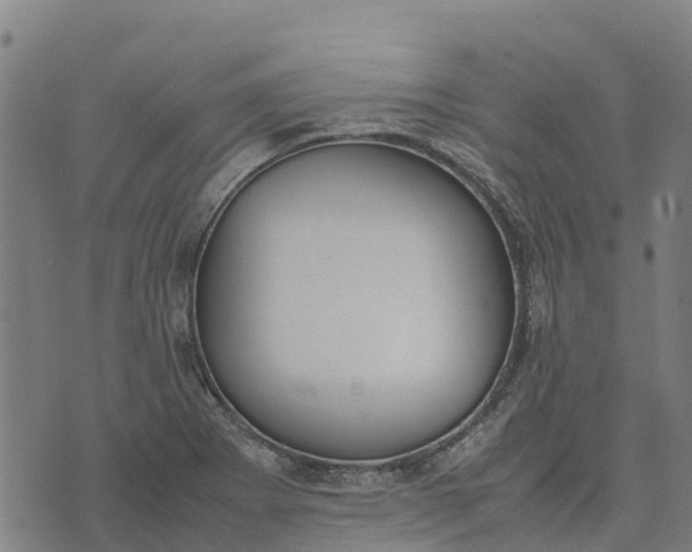 X0000070381273200606231703