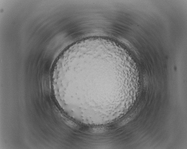 X0000070381274200606231703