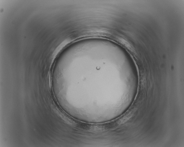 X0000070381275200606231703