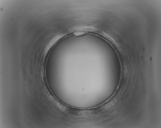 X0000070381277200606231703