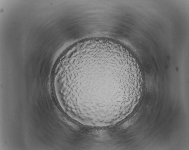 X0000070381278200606231703