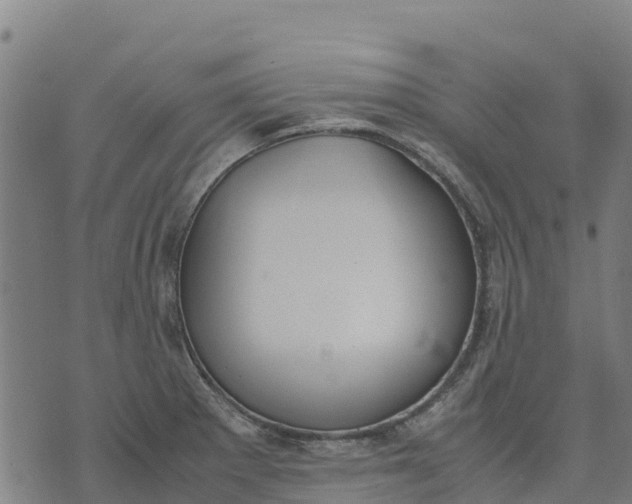 X0000070381281200606231703