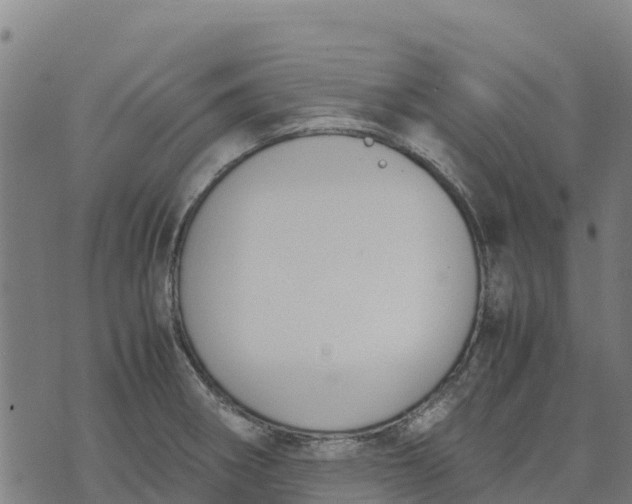 X0000070381282200606231703