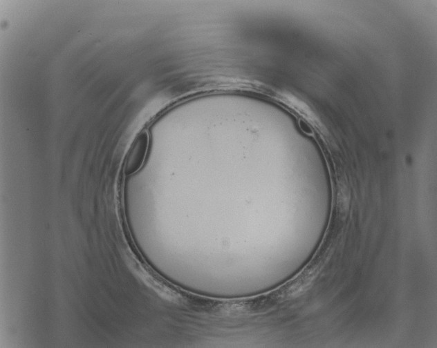 X0000070381283200606231703