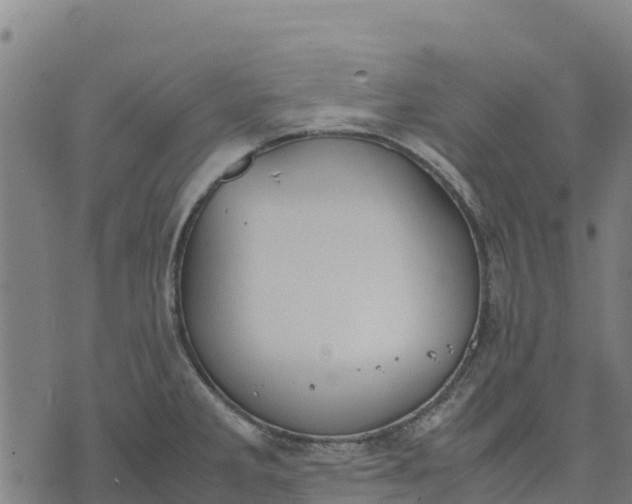 X0000070381285200606231703