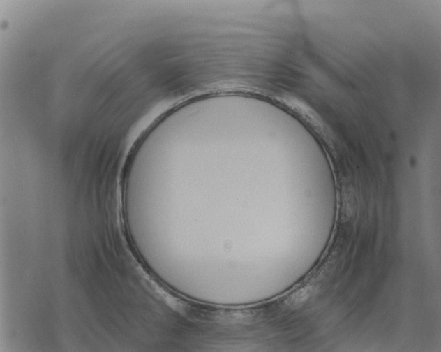 X0000070381286200606231703