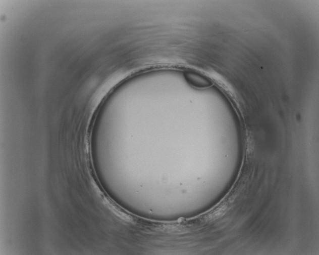 X0000070381287200606231703