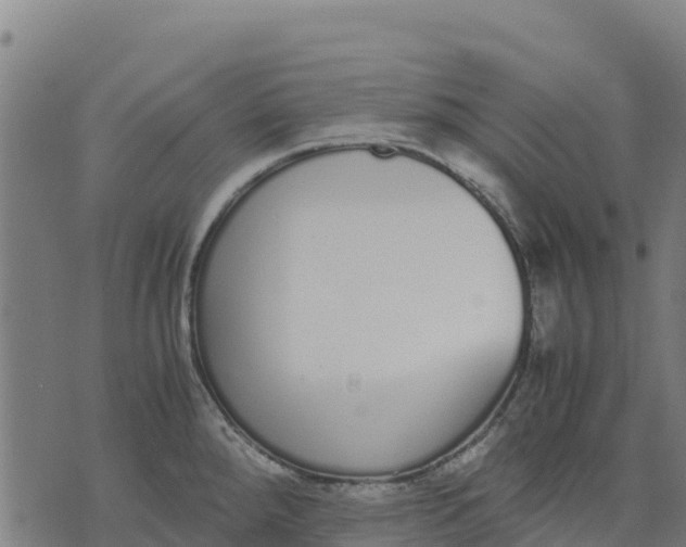 X0000070381288200606231703