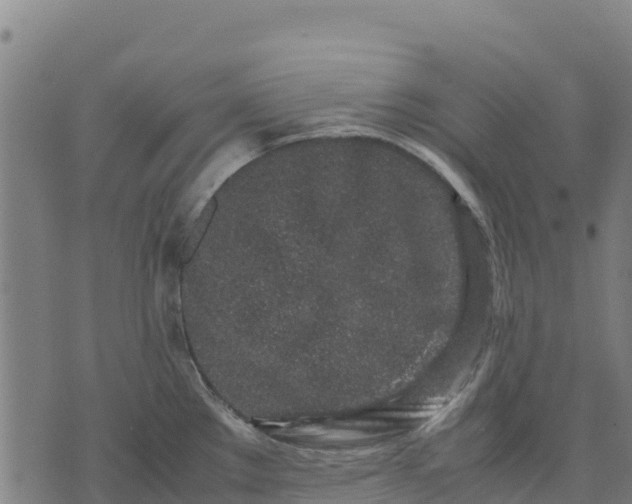 X0000070381289200606231703