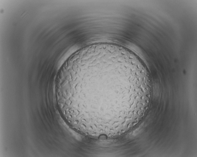 X0000070381290200606231703