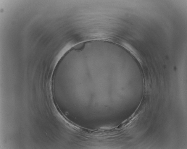 X0000070381291200606231703