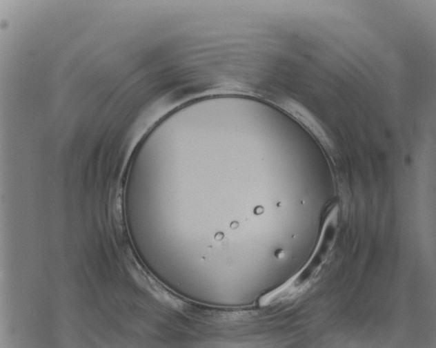 X0000070381292200606231703