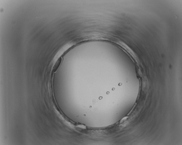 X0000070381293200606231703