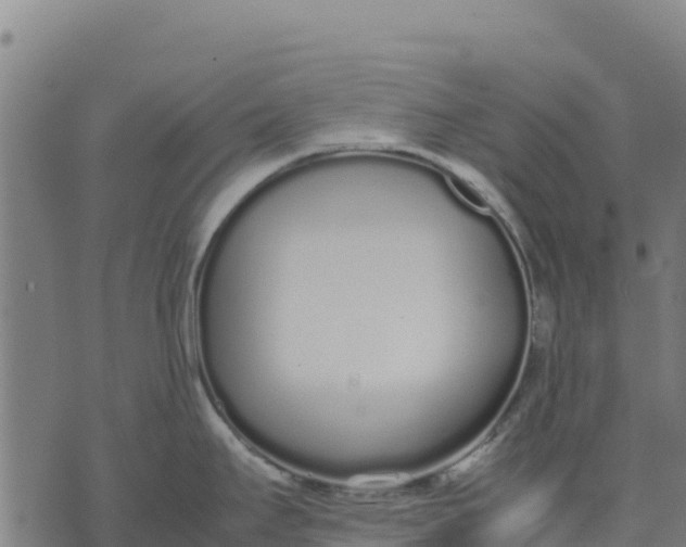 X0000070381295200606231703