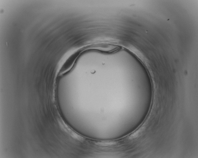 X0000070381296200606231703