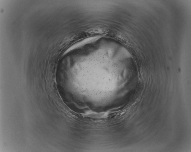 X0000070381297200606231702