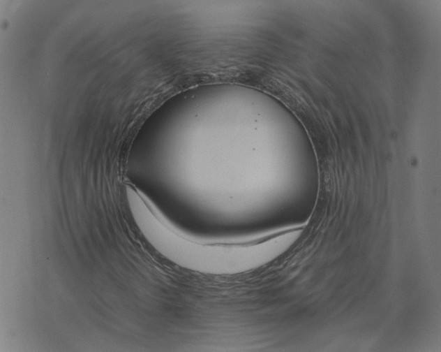 X0000070381298200606231702