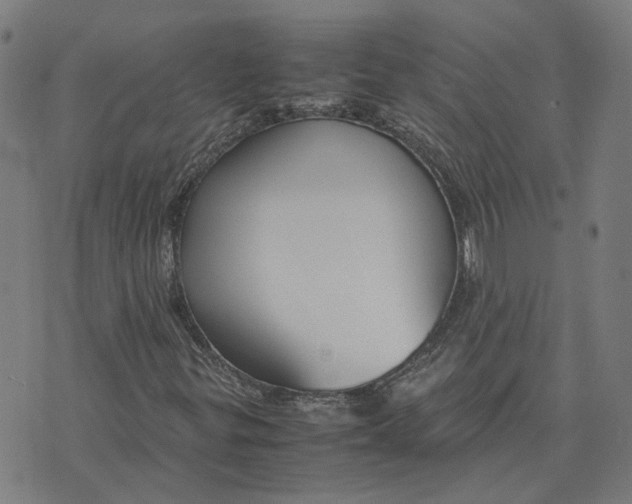 X0000070381299200606231702