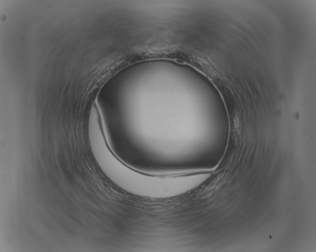 X0000070381300200606231702