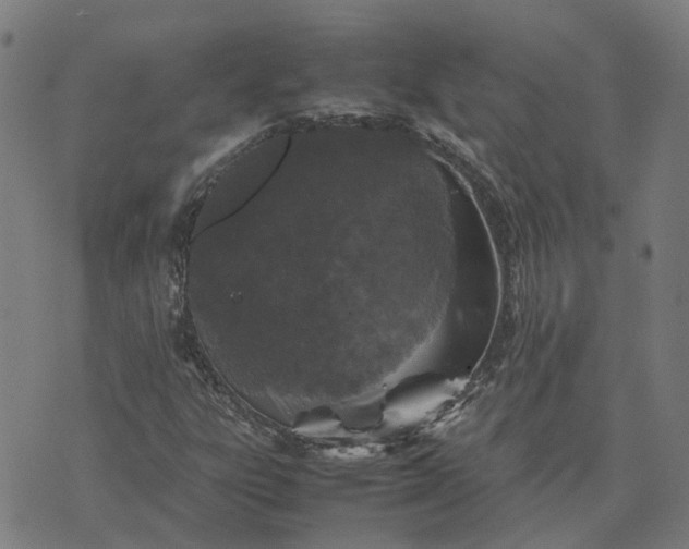 X0000070381303200606231702