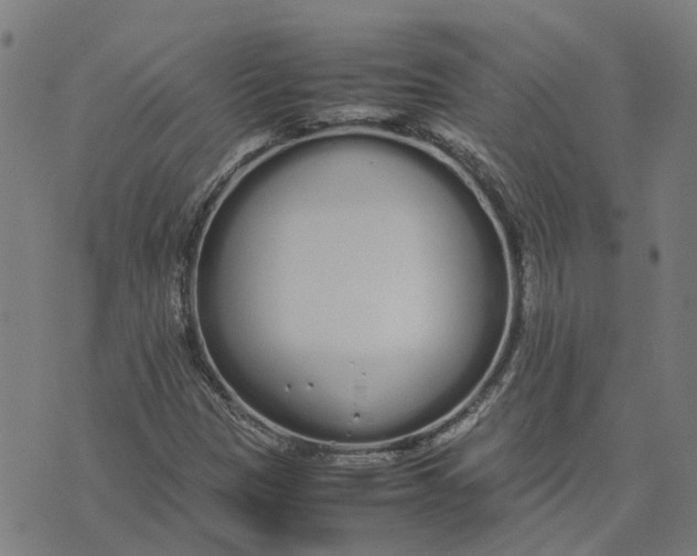 X0000070381305200606231702