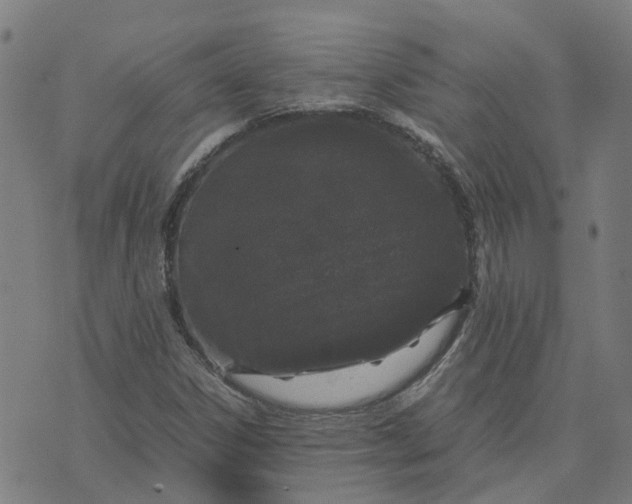 X0000070381306200606231702