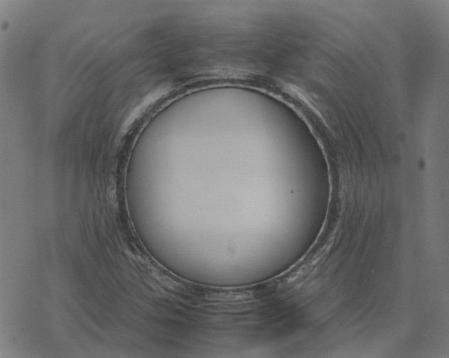 X0000070381307200606231702