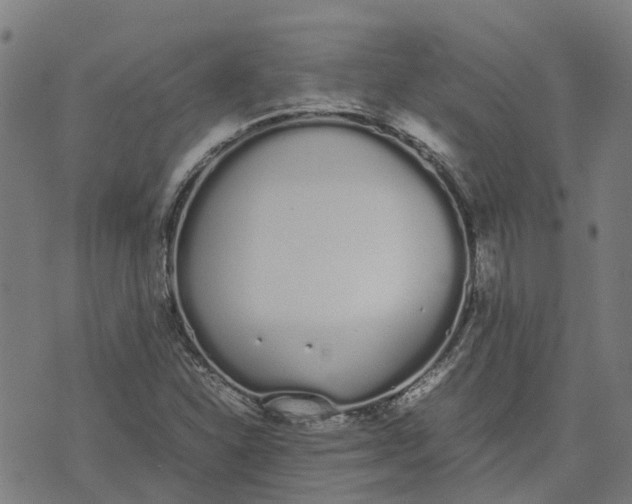 X0000070381310200606231702