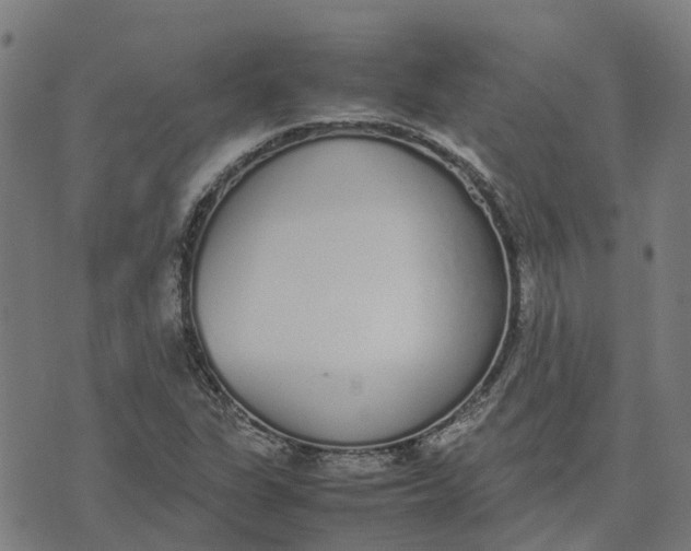 X0000070381311200606231702