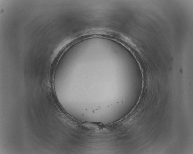 X0000070381312200606231702