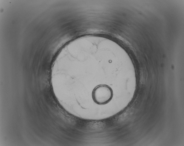 X0000070381314200606231702