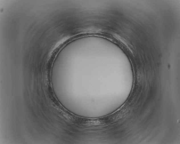 X0000070381315200606231702