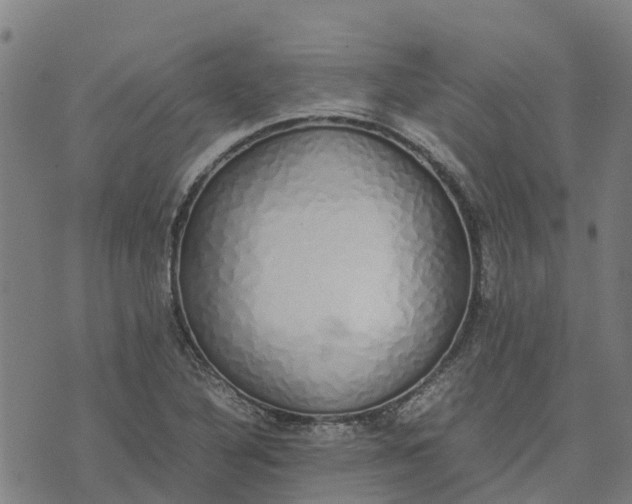 X0000070381316200606231702