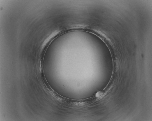 X0000070381317200606231702