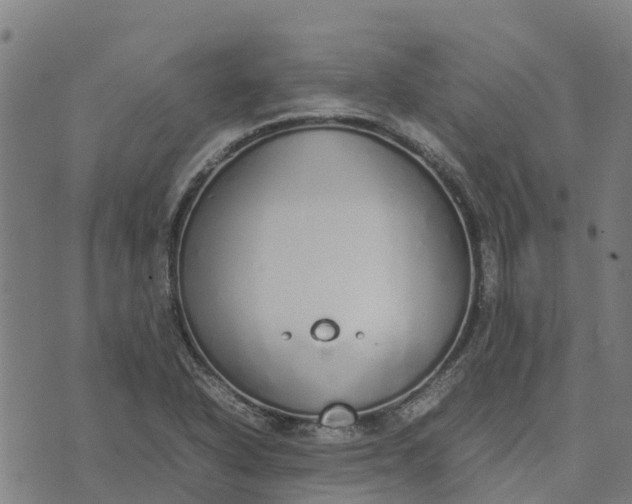 X0000070381318200606231702