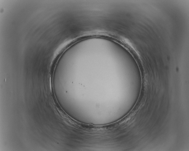 X0000070381320200606231702