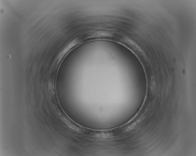 X0000070381321200606231702