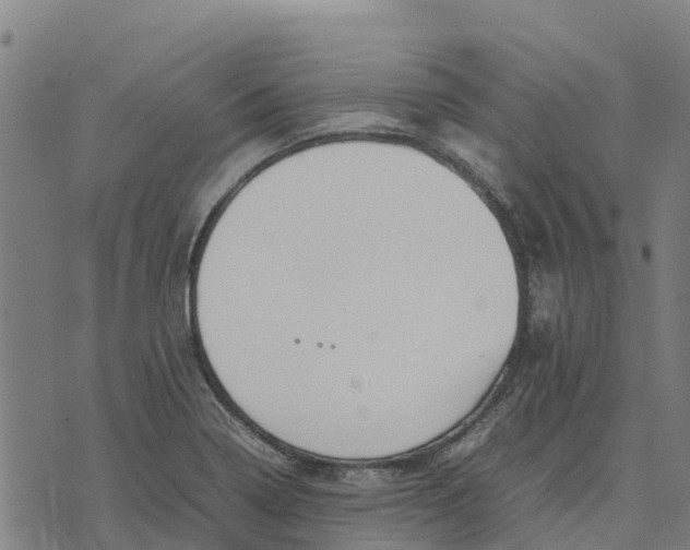 X0000070381322200606231702