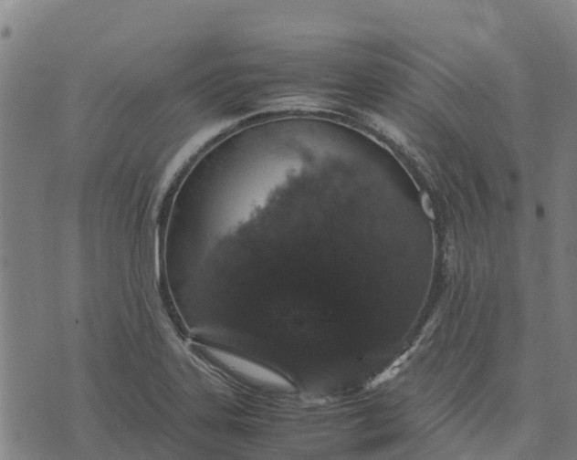 X0000070381323200606231702